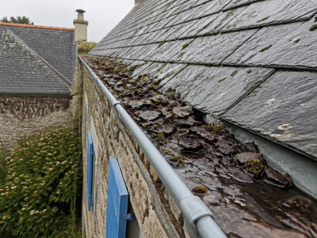 Gouttière en zinc obstruée par des feuilles mortes et de la mousse avant nettoyage